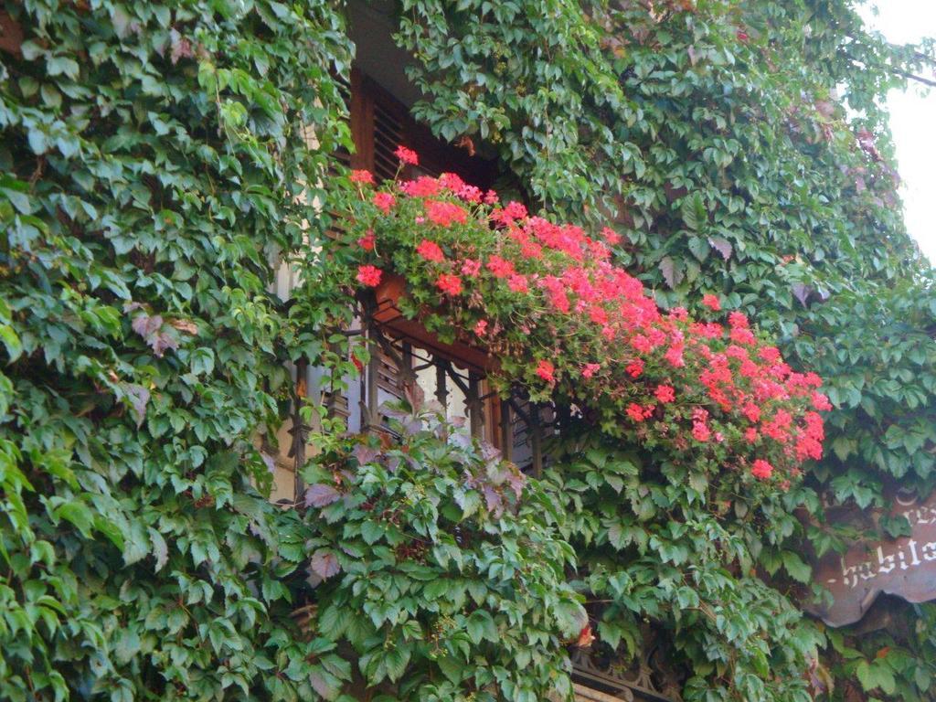 Hotel Casa Frauca Сарвісе Екстер'єр фото